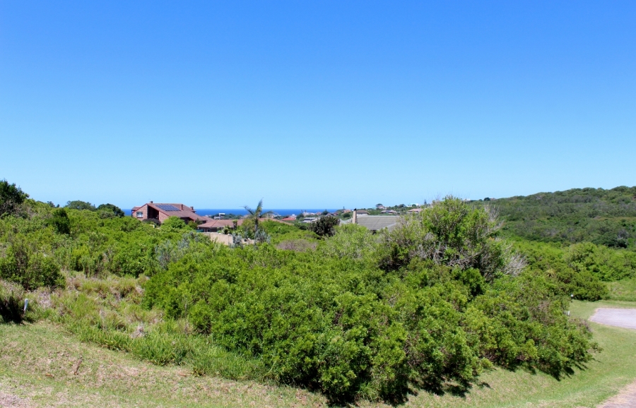 0 Bedroom Property for Sale in Forest Downs Eastern Cape